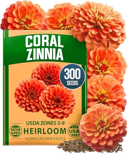 HOME GROWN Zinnia Seeds, Coral, 300 Seeds, Zinnia elegans by HOMEGROWN