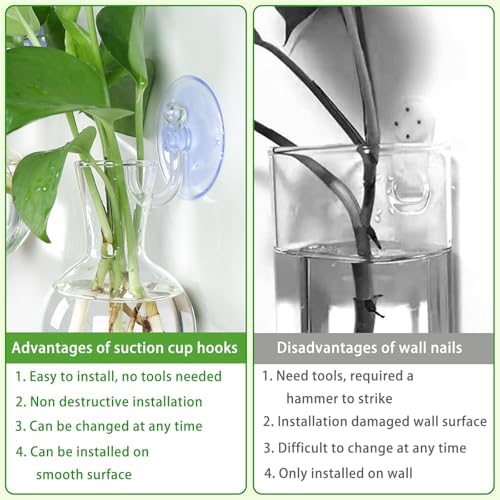 Bunmery 4 pcs Window Propagation Stations, Easy to Install Plant Propagation Bulbs with Suckion Cups, No Nails Wall Hanging Planter Propagation Station, Glass Plant Terrarium Vase - Image 4