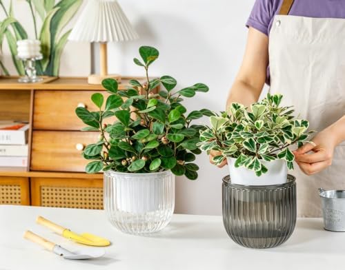 Melphoe 2 Pack Self Watering Hanging Planters Indoor Flower Pots, 6.5 Inch Outdoor Hanging Plant Pot Basket, Plant Hanger with 3Hooks Drainage Holes for Garden Home (Gray + White) - Image 4