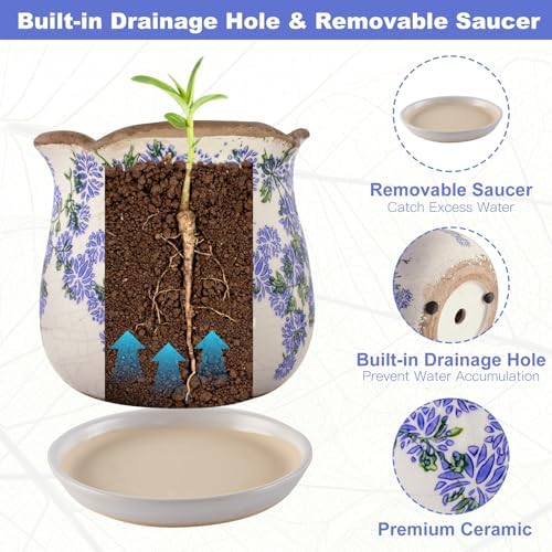 Ceramic-Planters-for-Indoor-Plants with Saucer, 6 inch Vintage Ice Crackle Glaze Plant Pots with Drainage Holes, Decorative Flower Pots for Outdoor Garden Home Decor, Tuscan Pot for Plant - Image 5
