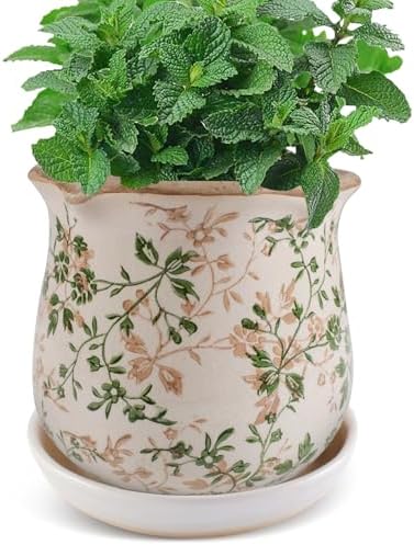 Ceramic-Planters-for-Indoor-Plants with Saucer, 6 inch Vintage Ice Crackle Glaze Plant Pots with Drainage Holes, Decorative Flower Pots for Outdoor Garden Home Decor, Tuscan Pot for Plant by Xoogifae