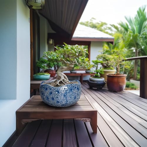 10 Inch Plant Pot, Ceramic Pots for Plants Indoor, Blue - Image 3