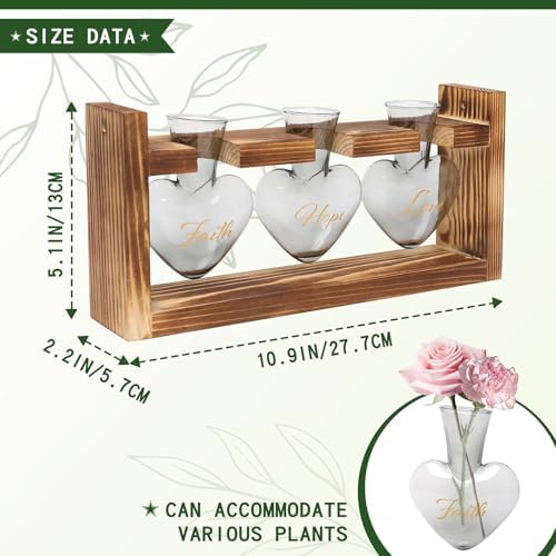 Plant Terrarium Propagation Stations Hydroponics - Image 4