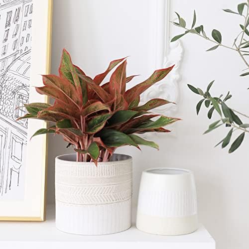 LA JOLIE MUSE Ceramic Plant Pots, Flower Pots for Indoor Plants, Set of 2 - Image 3