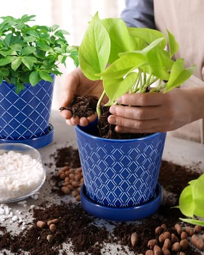 EFISPSS Ceramic Plant Pots, 5Inch Pots for Indoor Plants, Planters with Drainage Holes and Ceramic Tray,Plant Lover Gift, Desktop Office Windowsill Decoration Gift Set of 4 - Blue - Image 2