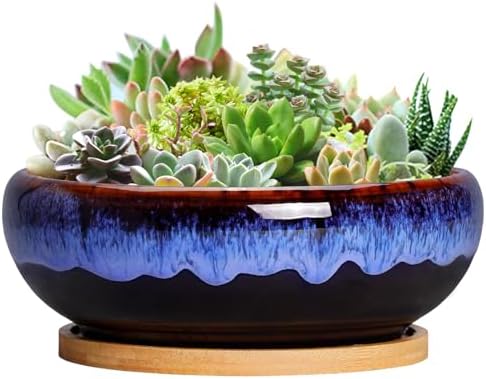 SQOWL 7 Inch Round Ceramic Succulent Planter Pot Drip Glazed Shallow Planter with Drainage Bamboo Tray for Indoor Plants by SQOWL