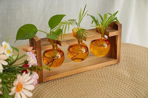 Kingbuy Glass Plant Terrarium Propagation Station - 3 Bulb Colored Vases with Retro Wood Stand Indoor Garden Planter - Wall Mount Desktop Decor for Home Kitchen Wedding, Plant Lover Gift, Amber - Image 4