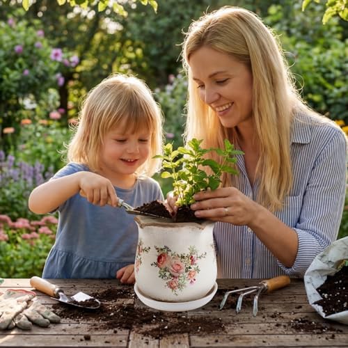 Ceramic-Planters-for-Indoor-Plants with Saucer, 6 inch Vintage Ice Crackle Glaze Plant Pots with Drainage Holes, Decorative Flower Pots for Outdoor Garden Home Decor, Tuscan Pot for Plant - Image 2