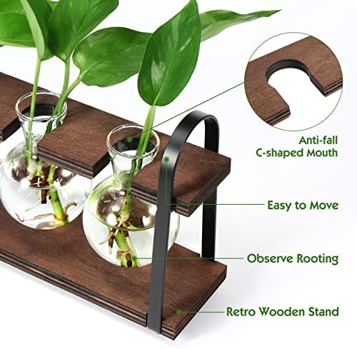 5-Bulb Plant Propagation Station, Glass Vase Terrarium, Wood Metal Stand - Image 2