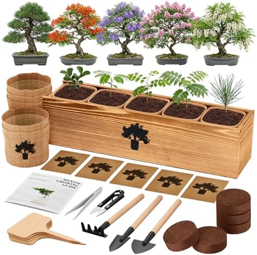 Bonsai Tree Kit - Complete Indoor Bonsai Starter Kit with 5 Unique Tree Seeds, Bonsai Tools - DIY Gardening Gift for Adults Women Men, Mom, Her, Friend (5 Bonsai Trees) by PLANTMEW