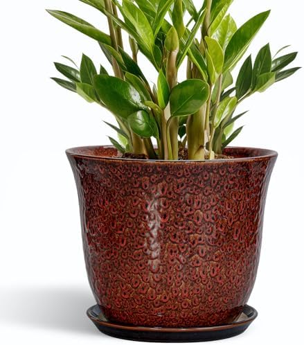10 Inch Plant Pot - Ceramic Pots for Plants with Drainage Hole and Saucer, Round Flower Pot for Indoor Outdoor, Modern Ceramic Planter, Garden Room Home Decor, House Warming Gifts, Red by SUNPOTFOR
