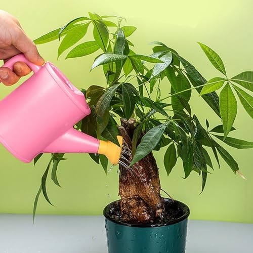 0.22 Gallon Small Watering Can, Plastic Decorative Cute Water Can for Plants with Sprinkler Head and Handle,Mini Small Durable Indoor Watering Cans for House Plants Bonsai Outdoor Home Gardening - Image 7