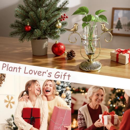 Desktop Hydroponic Glass Propagation Vases for Plants, 8.26"×7.9" - Image 5
