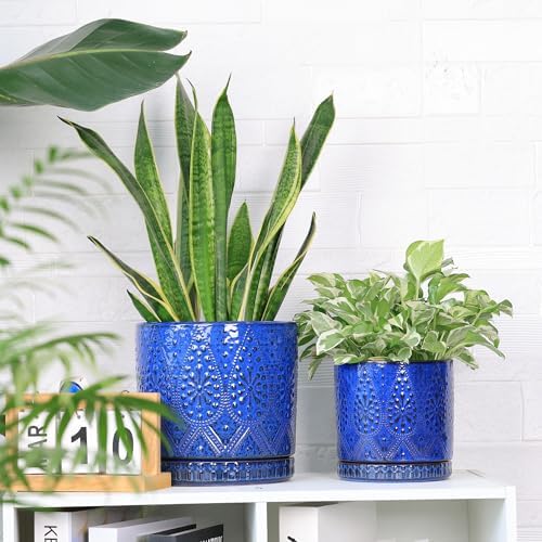 8 Inch + 6 Inch Indoor Plant Pot with Drainage Holes and Saucers, Ceramic Planter for Plants Succulent Orchid Flower Pots - Image 2