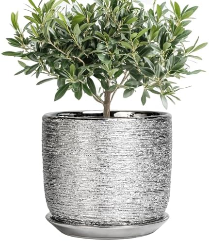 Ceramic Pot for Plants 8 Inch - Ceramic Flower Pot Indoor with Drainage Hole and Saucer, Decorative Round Indoor Planter, Plant Lover Gifts, Patio Home Office House Decor, Silver by SUNPOTFOR