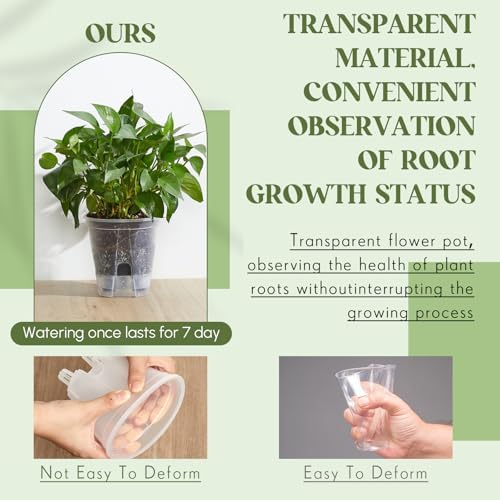 Wonderjune Self Watering Planter, 4.72'', Clear, 3 Pcs - Image 5