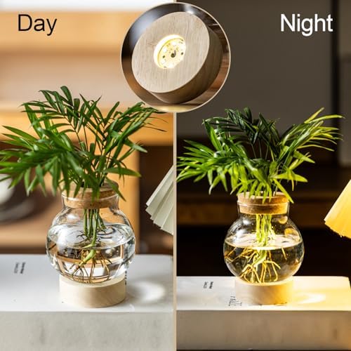 Propagation Stations, Plant Propagation Station with Light Base, Glass Propagation Vases, Hydroponic Vase for Plants, Glass Terrarium for Home Office Windowsill Tabletop Decoration (5) - Image 5