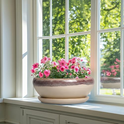 SQOWL Bonsai Pots 12 Inch, Ceramic Succulent Planters with Saucer, Beige - Image 6