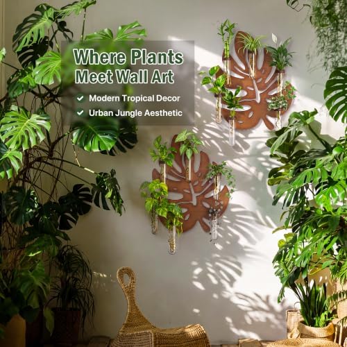 2 Pack Monstera Hanging Wall Planter, Plant Propagation Station - Image 4