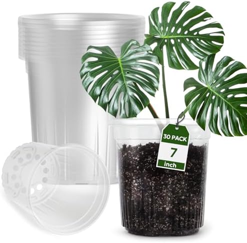 Bluepro Clear Nursery Pots with Drainage Holes, 7 Inch, 1 Gallon, 30-Pack by Bluepro
