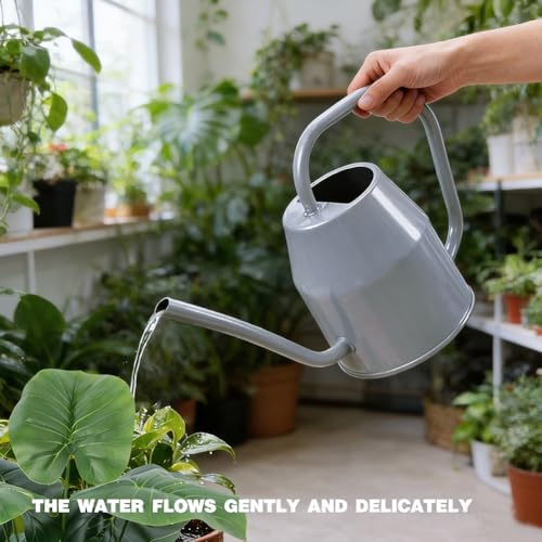 35 oz/1000 ml Metal Indoor Small Watering Can with Long Spout for House Plants Decorative, 12 oz/360 ml Glass Plant Mister Spray Bottle for Bonsai Garden Flowers (Grey) - Image 4