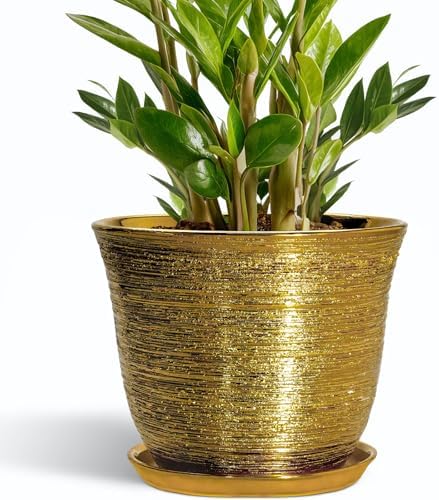 Ceramic Planter - 10 Inch Plant Pot with Drainage Hole and Saucer, Round Flower Pots for Indoor Outdoor, Large Modern Decorative Planter, Garden Room Home Decor, Gifts for Plant Lover, Gold by SUNPOTFOR
