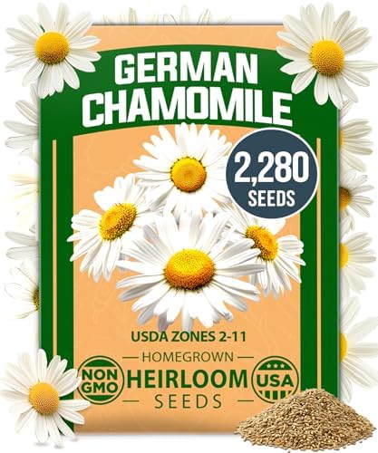 HOME GROWN German Chamomile Seeds, 2,280 Seeds, Matricaria chamomilla by HOMEGROWN