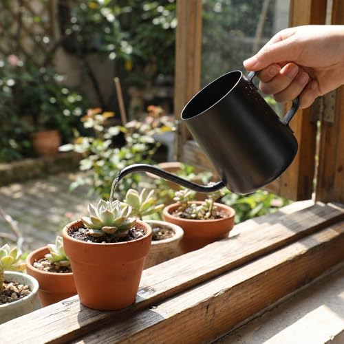 350ml Small Watering Can for Indoor Plants, 12oz Mini Plant Watering Pot with Long Spout and Handle, Black Tiny Stainless Steel Watering-Can for Outdoor Indoor Plants Flower Garden - Image 3