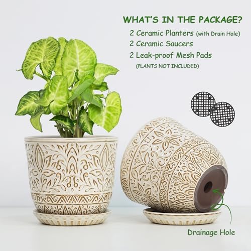 Gepege Ceramic Plant Pots, 6 Inch Indoor Planters with Drainage & Saucers - Image 3