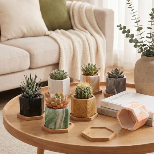 Ziliny Marbling Ceramic Flower Pot Succulent Small Plant Cactus Herbs Planter Ceramic Pot with Drainage Hole Matte Container (12 Pcs,Hexagon Style) - Image 4