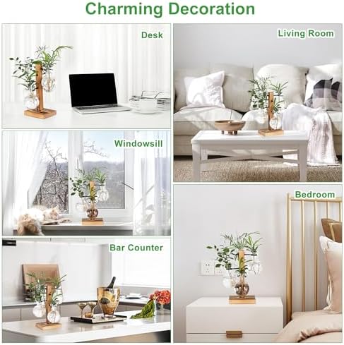 Plant Propagation Station with 4 Glass Vases & Wood Stand, Hydroponic Air Planter for Indoor Plants, Unique Gardening Gift for Women & Plant Lovers, Desktop Terrarium for Home Decor - Image 6