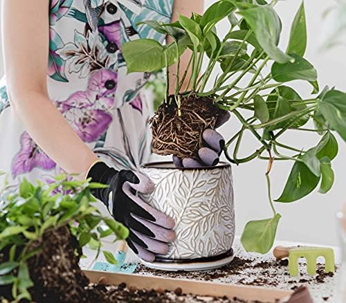 D'vine Dev Embossed Leaves Ceramic Planter, 6 in, Smoked White, 27-A-X-1 - Image 2