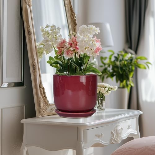 Ceramic Flower Pot for Plants - Cylinder Modern 8 Inch Plant Pot Indoor with Drainage Hole and Saucer, Home Office Room Porch Decor, Red - Image 5