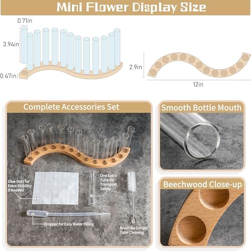 Test Tube Vases for Flowers，Small Plant Propagation Station，S Shape Plant Terrarium with Wooden Stand (Solid Beech) - Image 3