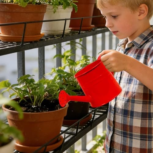 Small Watering Can, 1L Metal Flower Garden Watering Can, Gardening Tool Accessories for Outdoor Indoor Plants Lawn (Red) - Image 2