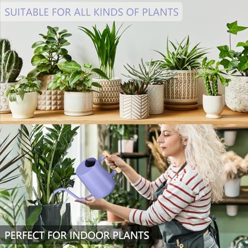 Watering Can Indoor Plants, 35oz Small Stainless Steel Metal Watering Can Modern Decorative Watering Pot with Long Spout for Indoor House Plant Bonsai Garden Flowers (Purple) - Image 4