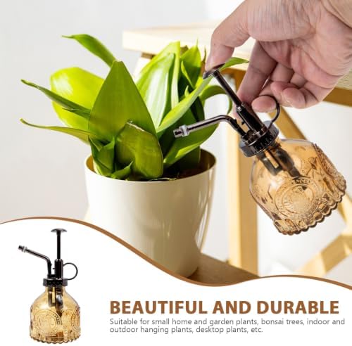 TOYANDONA Glass Sprayer Plant Mister Spray Bottle Small Watering Can - Image 6