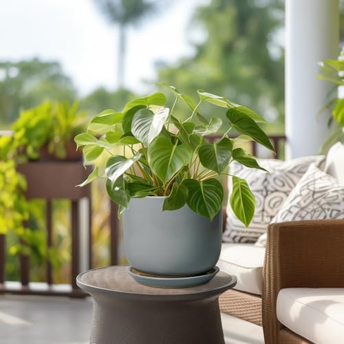 Ceramic Planter for Indoor Outdoor Plants - Cylinder Decorative 8 Inch Plant Pot with Drainage Hole and Saucer, Modern Home Decor, Gray - Image 4
