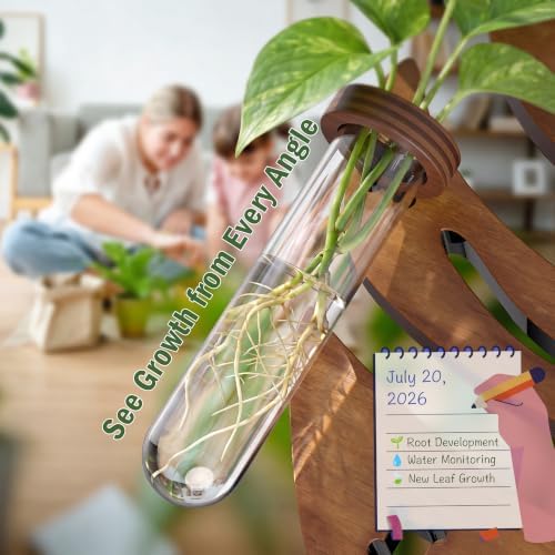 2 Pack Monstera Hanging Wall Planter, Plant Propagation Station - Image 5