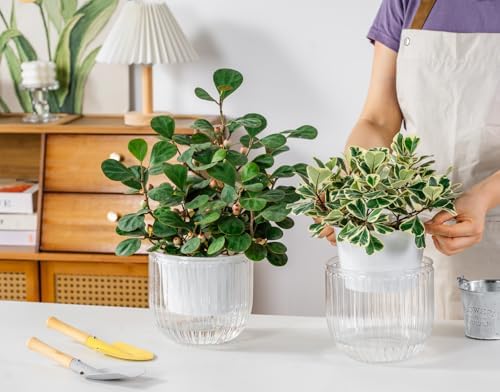 Melphoe Self Watering Pots for Indoor Plants Planter, 6.5 Inch 2 Pack Planters Self Watering Plant Pots for Flower, Houseplants, Succulent, African Violets and Cactus with Drainage - Image 2