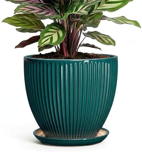 Ceramic Flower Pots, 6 Inch Planters with Drainage Hole and Saucer, Decorative Round Plant Pots for Indoor Plants, Modern Succulent Pot, Office Bedroom Decor, Plant Lover Gifts, Blackish Green by Unknown