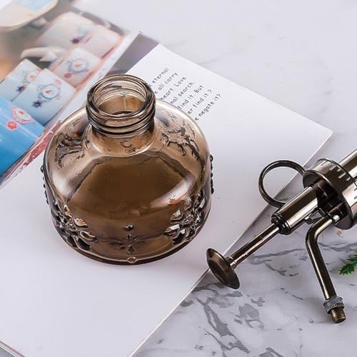 Spray Bottle for Plants, Plant Mister Spray Bottle, Glass Plant Mister Spray Bottle, Embossed Vintage Glass Watering Can, Succulent Watering Bottle with Top Pump for Outdoor (O) - Image 2