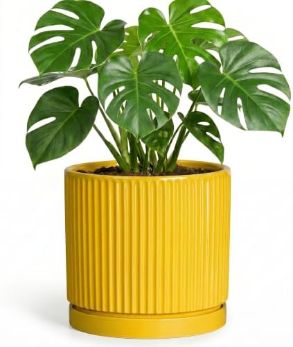 Ceramic Planter 8 Inch, Round Flower Pots with Saucer, Yellow by Unknown
