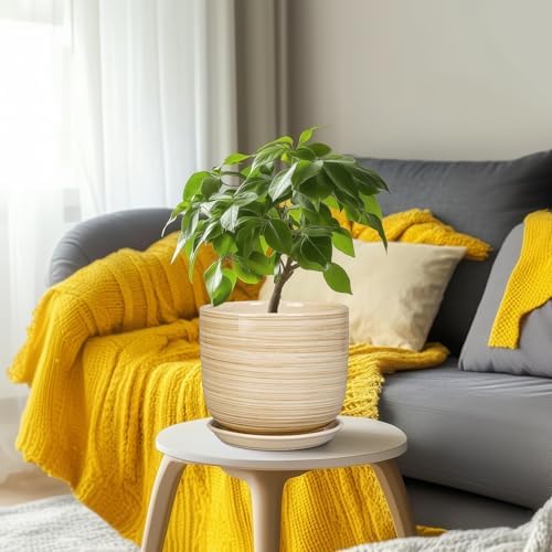 Indoor Plant Pot 8 Inch - Cylinder Modern Ceramic Planter for Indoor Outdoor Plants with Drainage Hole and Saucer, House Office Home Room Desk Decor, Yellow - Image 6