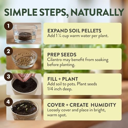 HOME GROWN Organic 4 Herb Indoor Garden Kit - Ideal Christmas Gift Set - Image 4