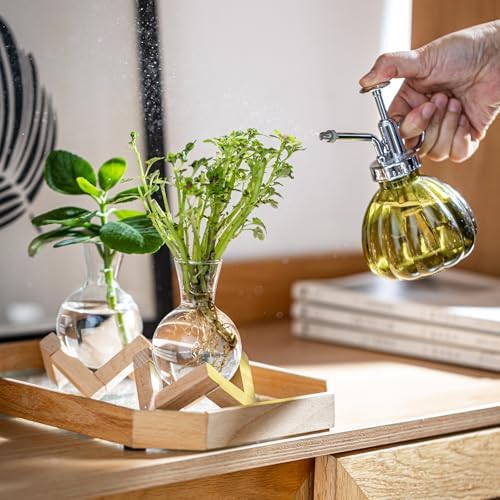Propagation Stations, Propagation vases with Wooden Stand, Small Tabletop Glass Bulb Vases for Hydroponics Plant Propagation Station Home Office Decoration, Gift for Women Plant Lovers (6) - Image 5