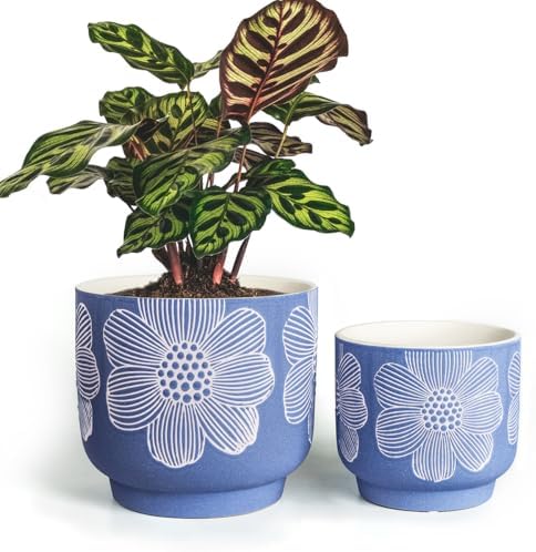 Ceramic Plant Pots, 8+6 Inch, 2 Pcs Indoor Planters with Drainage Holes by YBXYIBOXUAN