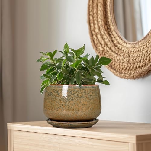 G EPGardening Ceramic Planters - 9 Inch Ceramic Pots for Plants Indoor Outdoor, Round Planter with Drainage and Saucer, Modern Indoor Flower Pots, House Room Decor, Gift for Women Men, Speckled Brown - Image 5