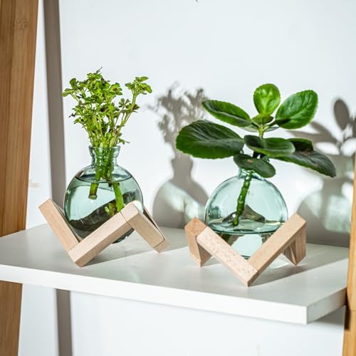 Plant Propagation Station, Plant Terrarium with Wooden Stand for Hydroponic Plant Propagation, Propagation Vases for Plants, Green Glass Bulb Vases for Home Office Decor (2) - Image 6