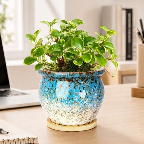 Plant Pots, 4.5 Inch Plant Pots for Indoor, Small Ceramic Planter with Tray - Image 4